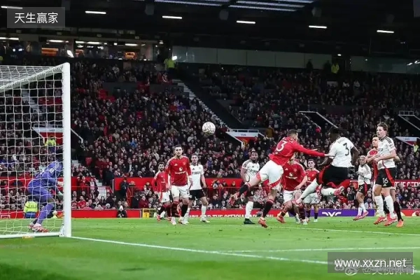 半场:富勒姆1-1水晶宫,恩凯蒂亚、哈里-威尔逊破门