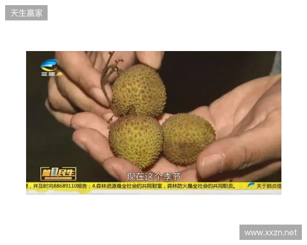 穆德里克因车窗贴膜颜色过深被拦下后,被发现禁驾期内驾驶 穆德里克因车窗贴膜颜色过深被拦下后,被发现禁驾期内驾驶